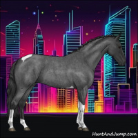 Horse Color:Blue Roan Tobiano 
