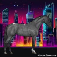 Horse Color:Blue Roan Tobiano 