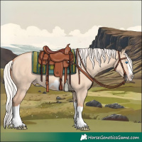 Horse Color:Silver Classic Champagne Dun Splash Frame