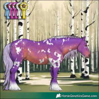 Horse Color:Watercolor White Spotted Silver Brown 
