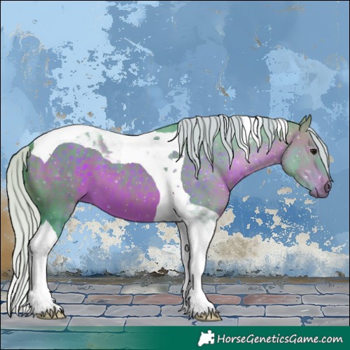 Horse Color:Watercolor Silver Brown Tobiano 