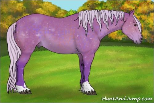 Horse Color:Watercolor Silver Brown Sabino 