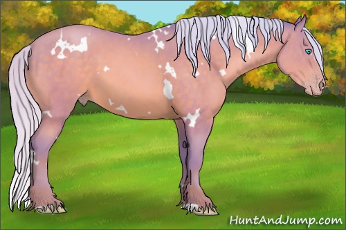 Horse Color:Watercolor White Spotted Silver Sable Champagne 