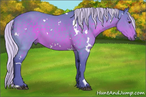 Horse Color:Watercolor White Spotted Silver Brown 