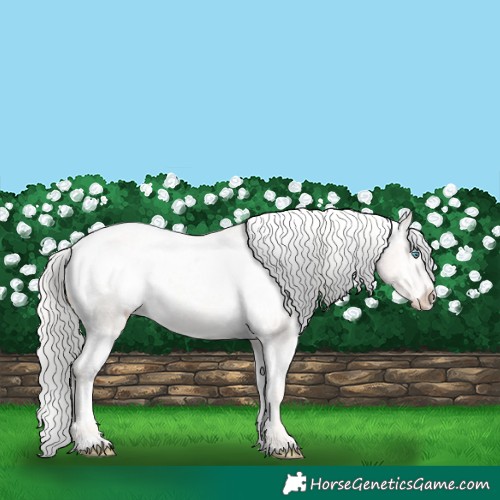 Horse Color:White Spotted Silver Smoky Creme Varnish Rabicano