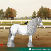 Horse Color:White Spotted Grullo Roan Near Fewspot 