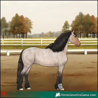 Horse Color:Bay Roan Dun 