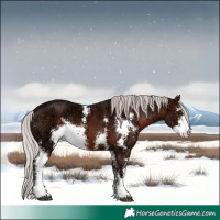 Horse Color:Silver Brown Ice Sabino 