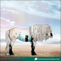 Horse Color:Silver Amber Cream Champagne Ice Sabino 