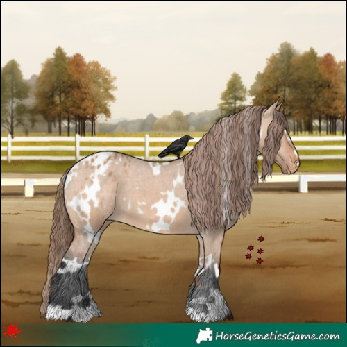 Horse Color:White Spotted Bay Dun Varnish 