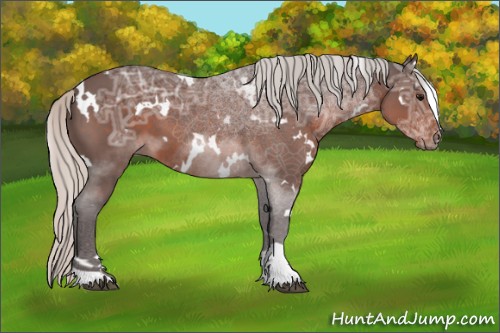 Horse Color:White Spotted Silver Brown Ice Sabino 