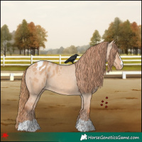 Horse Color:Red Dun Varnish 