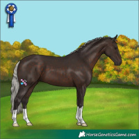 Horse Color:Silver Brown 