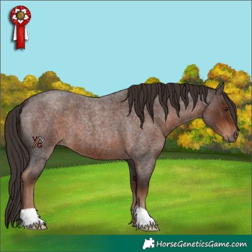 Horse Color:Liver Red Roan 