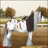 Horse Color:White Spotted Bay Splash Appaloosa