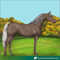 Horse Color:Silver Black 