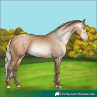 Horse Color:Gray Silver Buckskin Pearl 