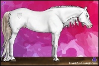 Horse Color:Liver Red Roan Pearl Near Leopard 