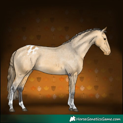 Horse Color:Buckskin Tobiano Blanket