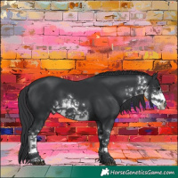 Horse Color:White Spotted Black 