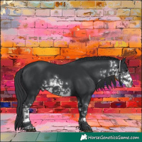 Horse Color:White Spotted Black