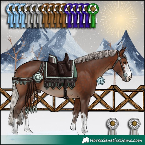 Horse Color:Silver Brown