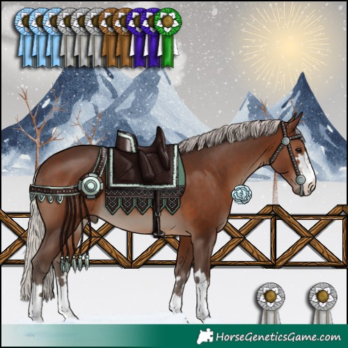 Horse Color:Silver Brown 