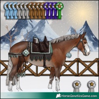 Horse Color:Silver Brown 