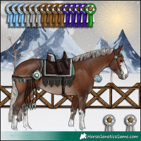 Horse Color:Silver Brown 