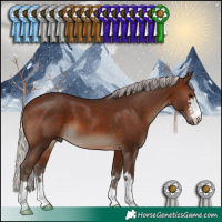Horse Color:Silver Brown 