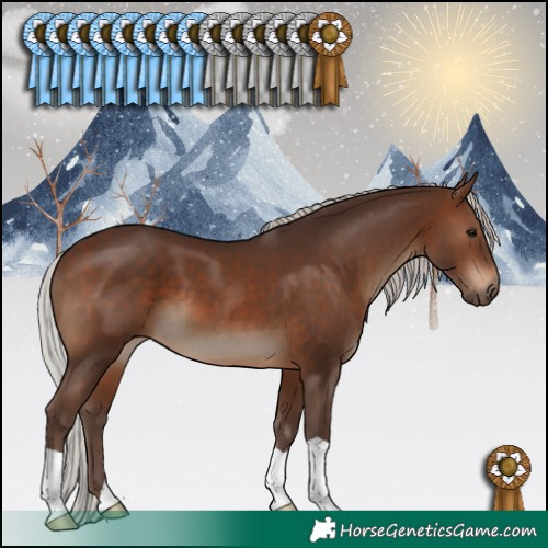 Horse Color:Silver Brown 