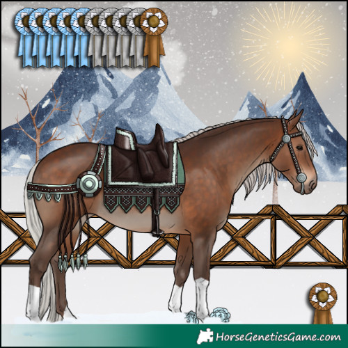 Horse Color:Silver Brown 