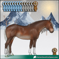 Horse Color:Silver Brown 