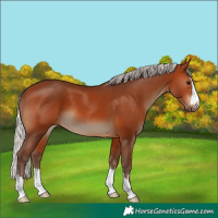 Horse Color:Silver Brown