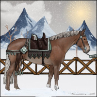 Horse Color:Silver Black 