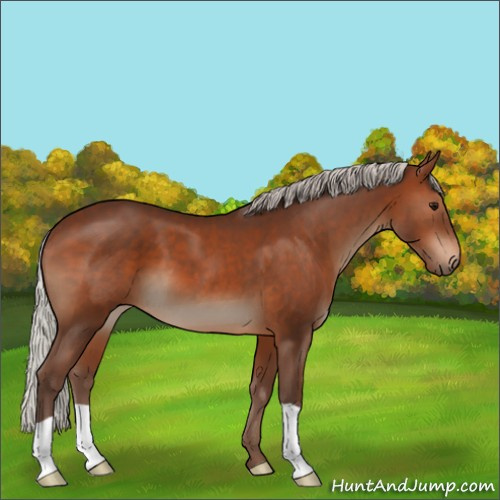 Horse Color:Silver Brown 