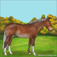 Horse Color:Silver Brown 