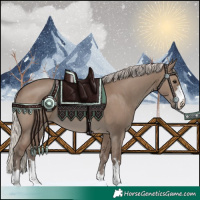 Horse Color:Silver Grullo 