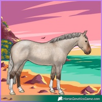 Horse Color:Silver Brown Roan Dun 