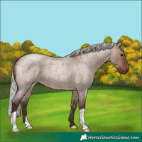 Horse Color:Silver Brown Roan Dun 