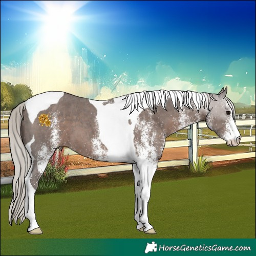 Horse Color:White Spotted Silver Black Tobiano 