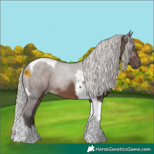 Horse Color:Silver Black Tobiano 