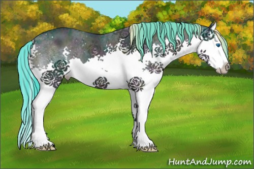 Horse Color:Watercolor Midnight Black Ice Splash 