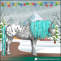 Horse Color:Painted Watercolor Midnight Silver Grullo Ice Sabino Blanket Rabicano 