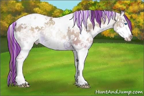 Horse Color:Painted White Spotted Buckskin Ice Pearl Splash Rabicano 