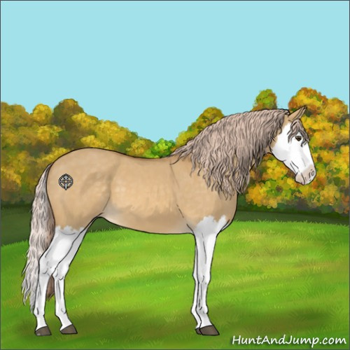 Horse Color:Palomino Dun Splash 