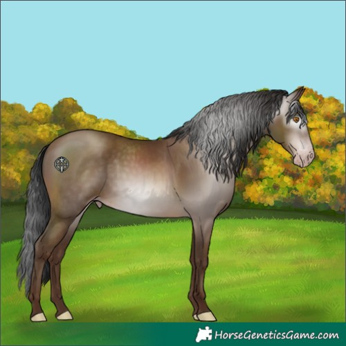 Horse Color:Gray Sable Champagne 