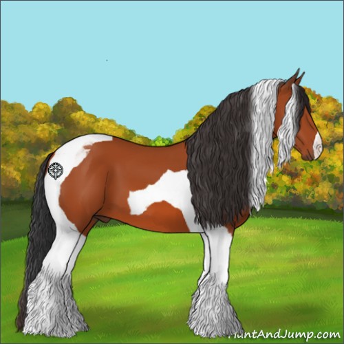 Horse Color:Bay Tobiano 
