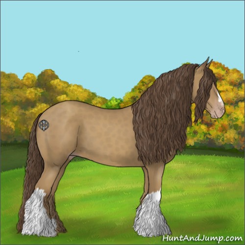 Horse Color:Classic Cream Champagne 