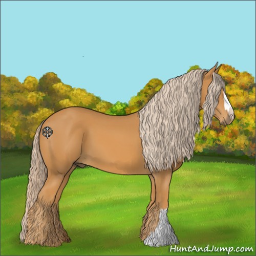 Horse Color:Palomino 